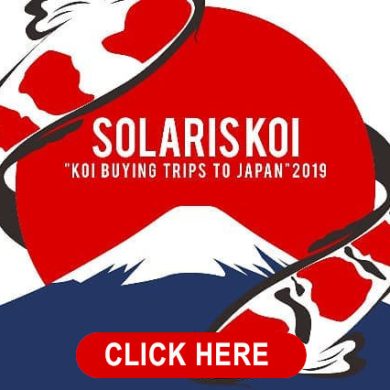 JAPAN TRIP HEADERS